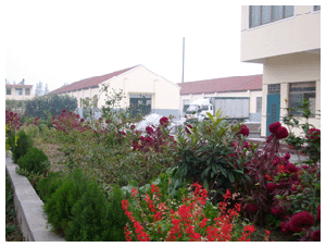 河北環保丙烯酸固體樹脂哪家好